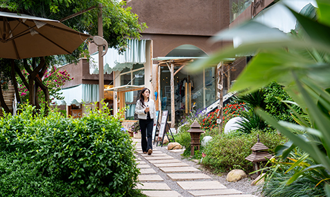 撫仙湖畔體驗旅游旅居“慢生活”